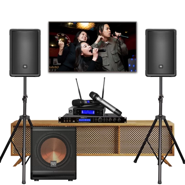 dan-karaoke-gia-dinh-cao-cap-jbl-dk08