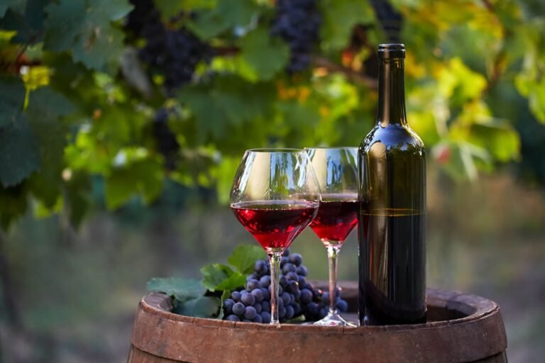 Two glasses of red wine and bottle in the vineyard