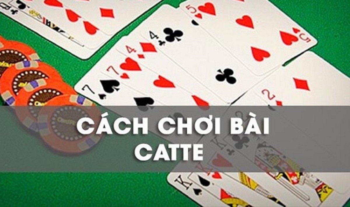 cach-choi-bai-catte-1
