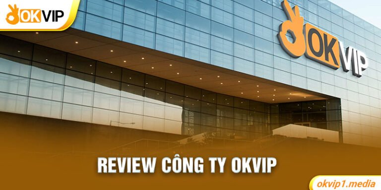 review-cong-ty-okvip