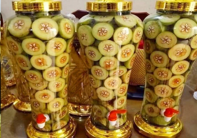 bình-rượu-táo-mèo