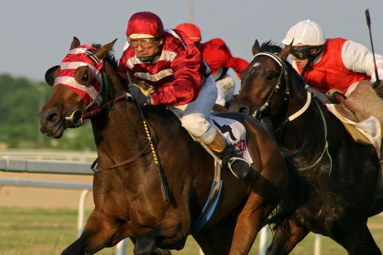 20210511-horse-1