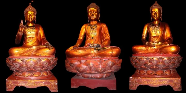 bao-vat-quoc-gia-chua-con-son-1708845838687372914033